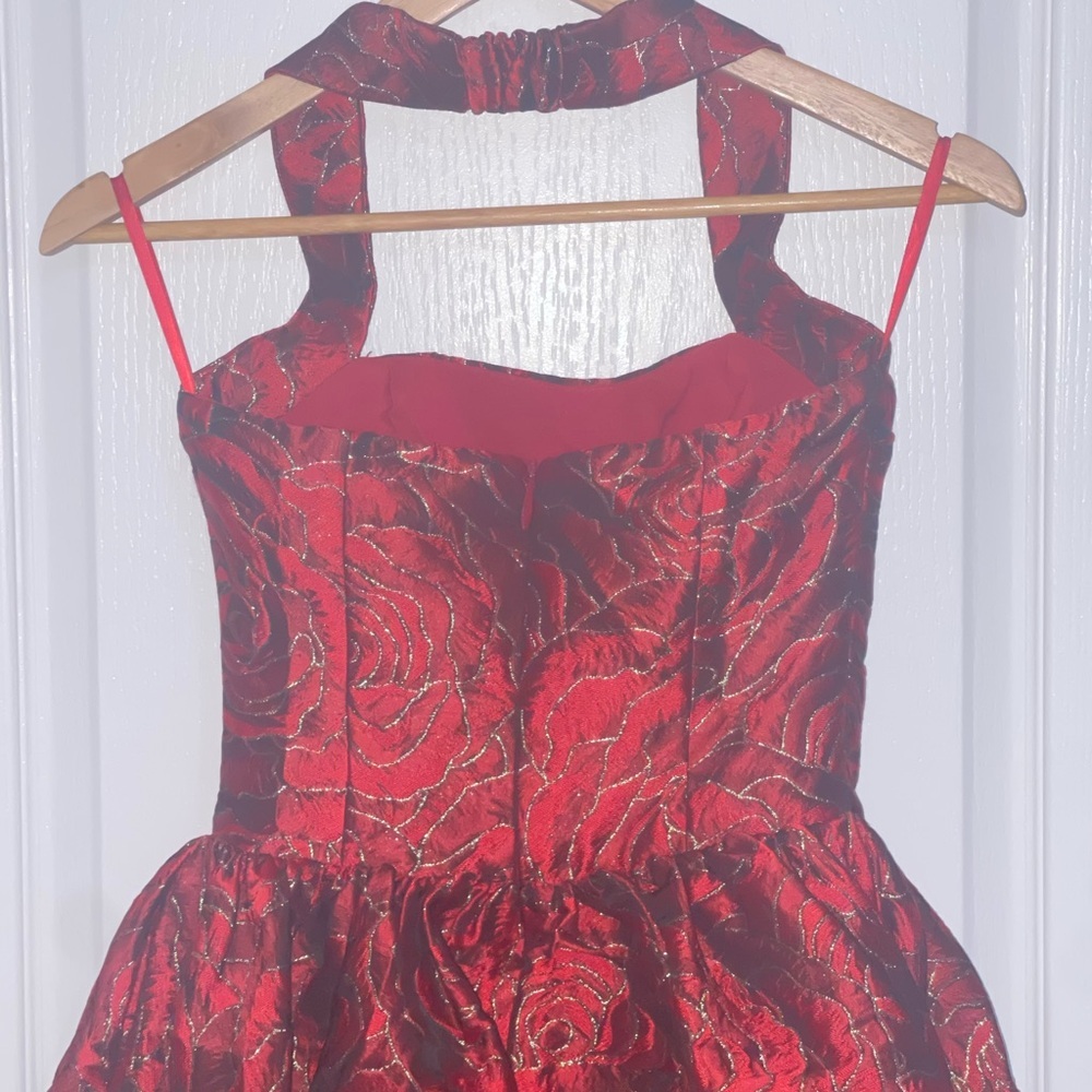 VIPER MINI DRESS lROSE PRINT $139 Elegant Red Halter Dress Textured Floral XS - Picture 5 of 12